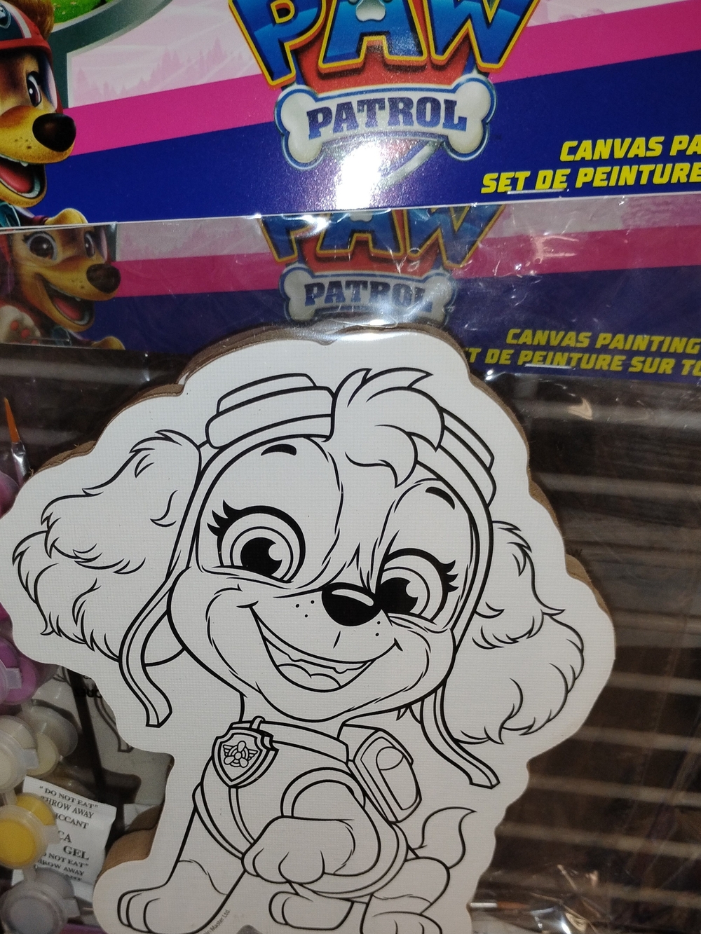 Paw Patrol Skye Painting Kit